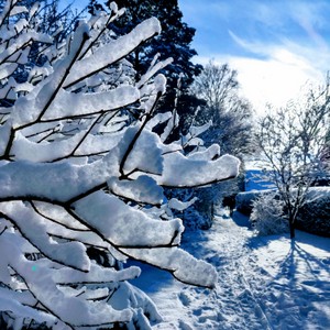 Winter_5