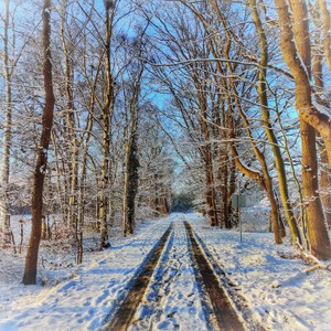 Winter_8