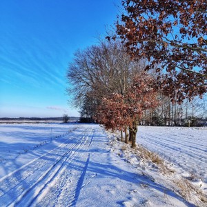 Winter_02