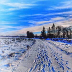 Winter_03